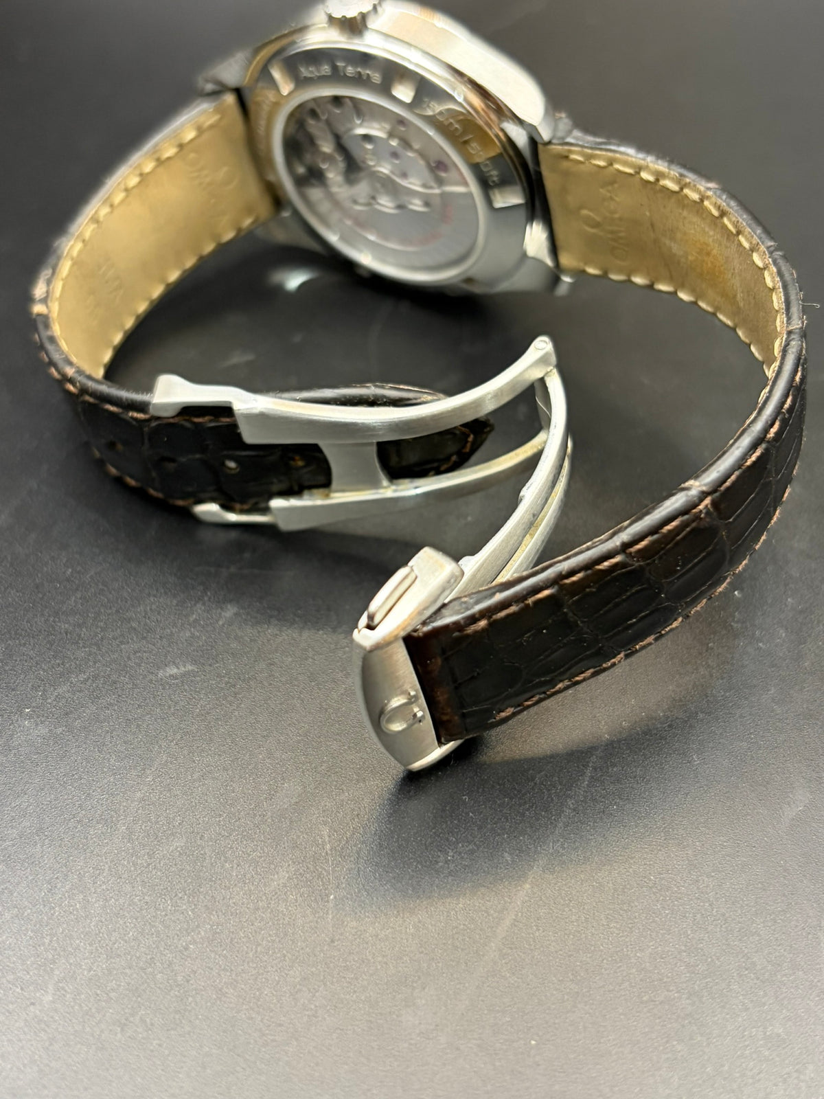 Seamaster Aqua Terra