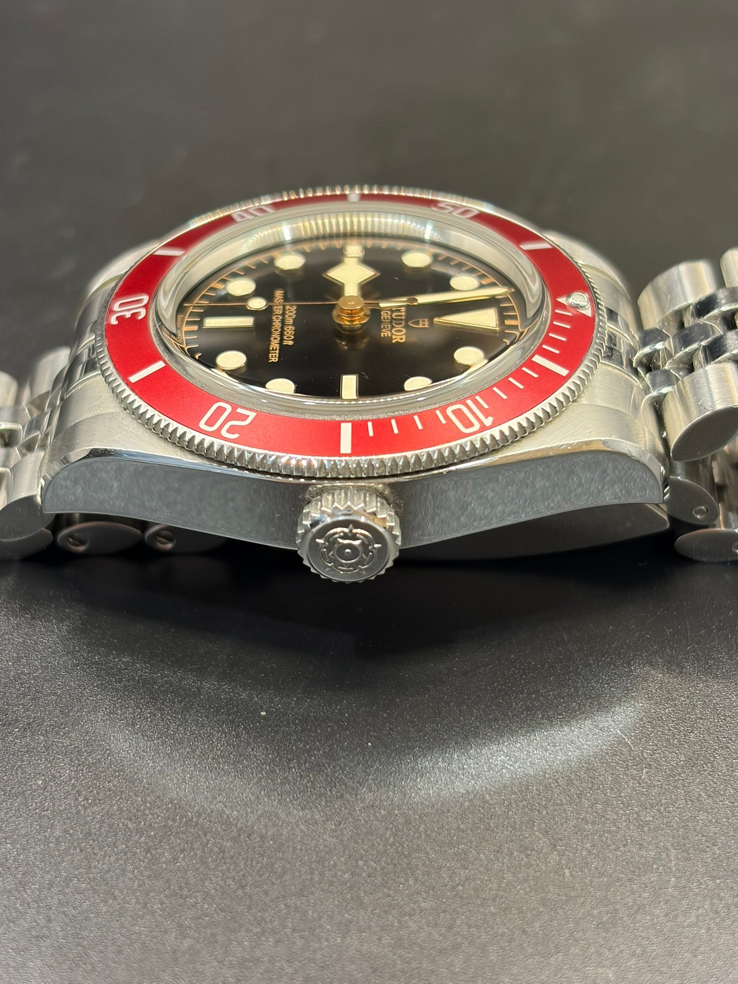 Tudor Black Bay