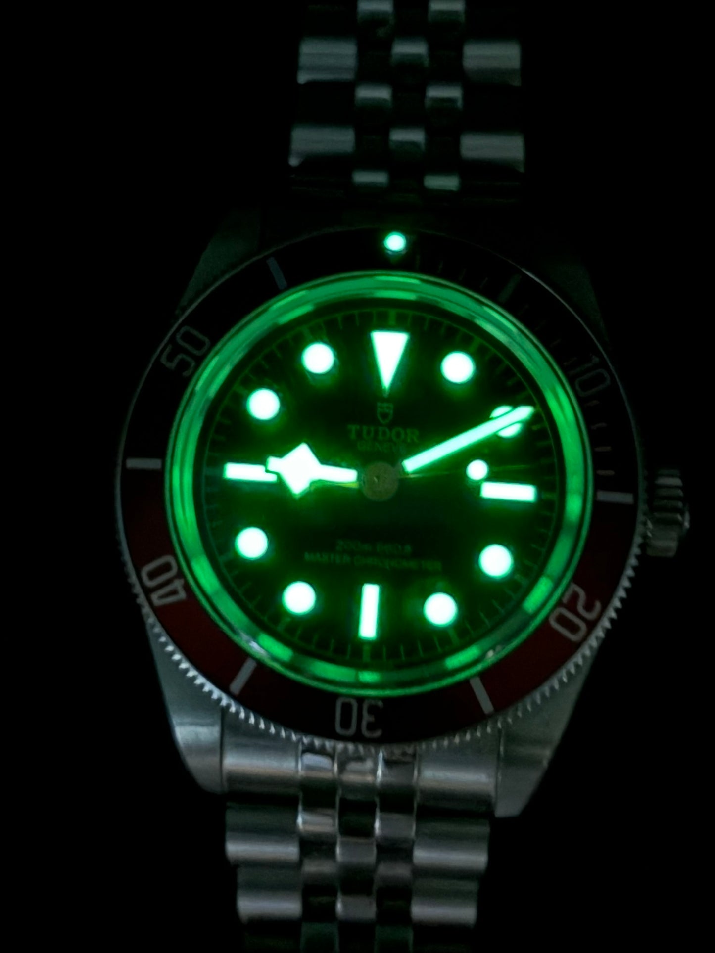 Tudor Black Bay