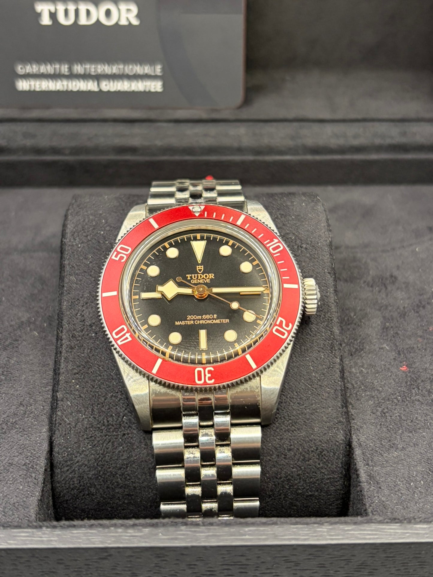 Tudor Black Bay