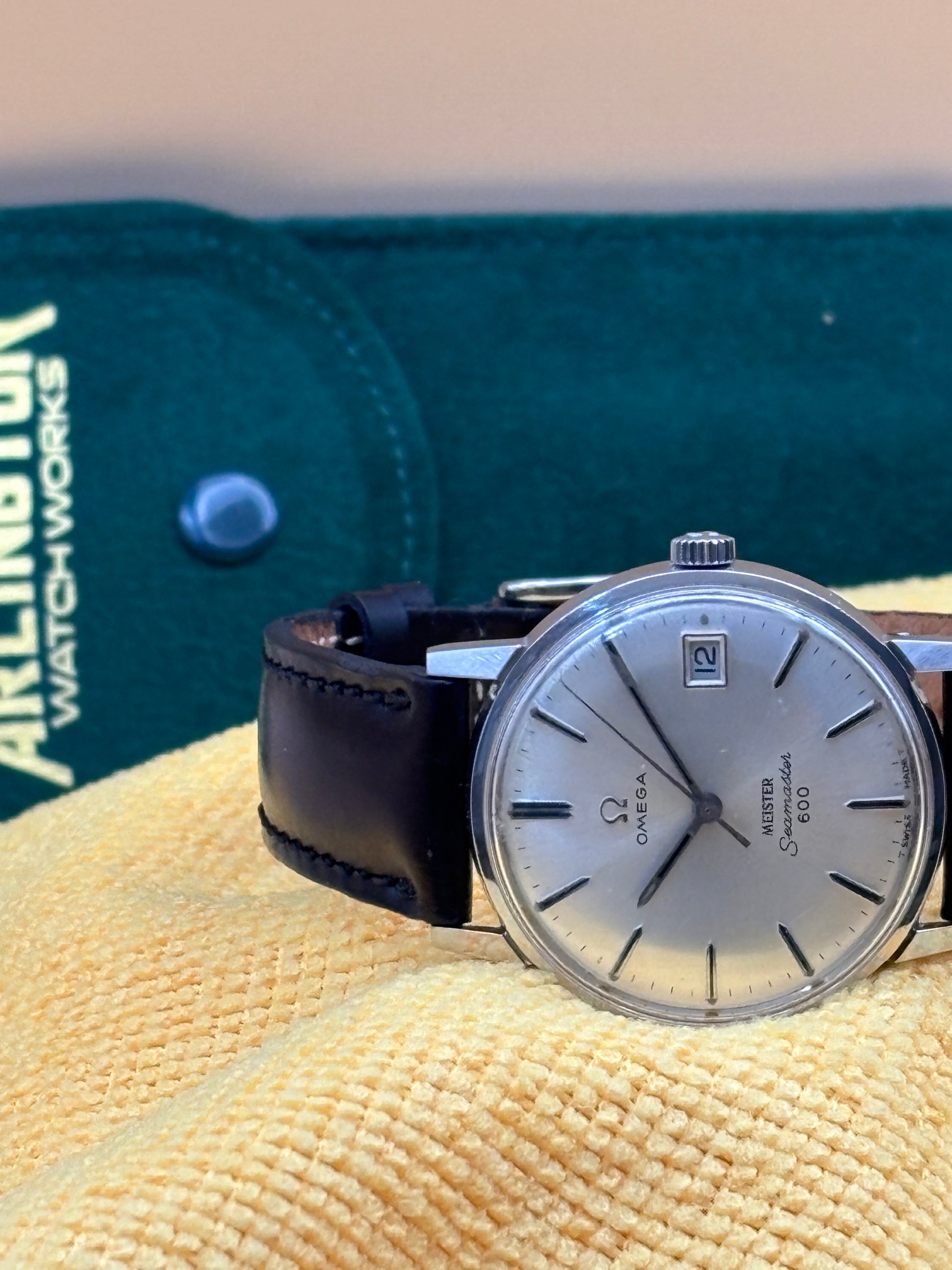 Omega Seamaster 600 on a leather band.